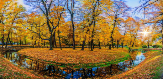 1346242 (a): :2560x1246